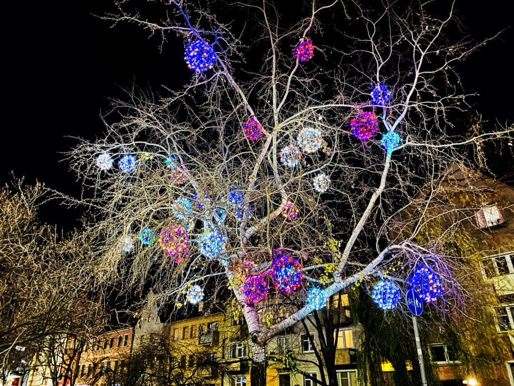 528BFE1F-5DD0-4F5C-BAAB-00BD14383901